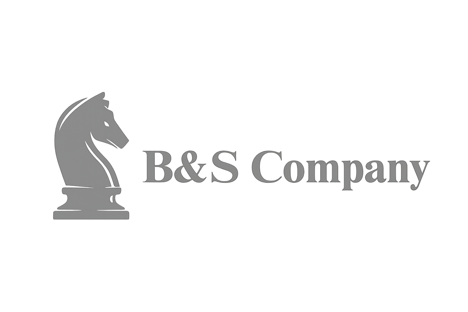 Logo B&S Company Consulting